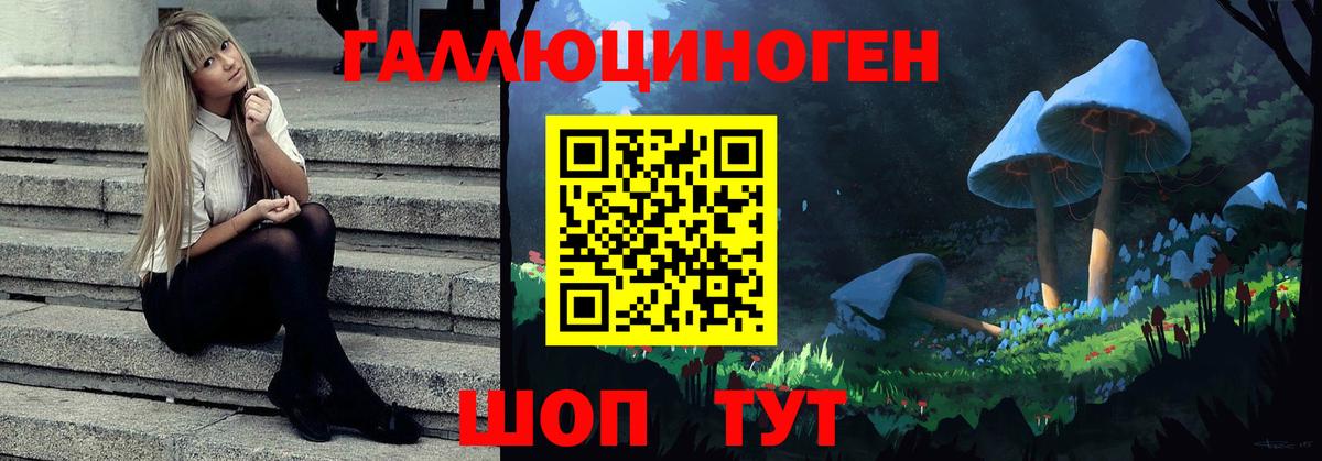 Новокуйбышевск  Псилоцибиновые грибы MAGIC MUSHROOMS  Вход с VPN 